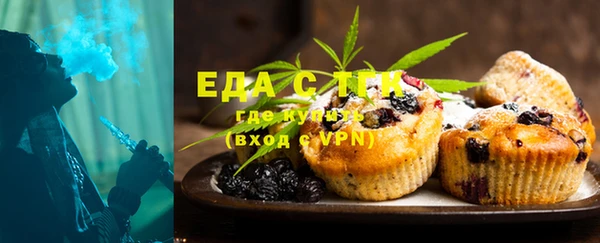 ГАЛЛЮЦИНОГЕННЫЕ ГРИБЫ Ельня