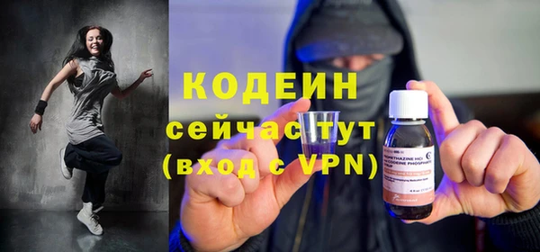 шишки Заводоуковск