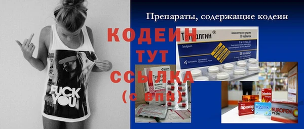 молекула духа Елабуга