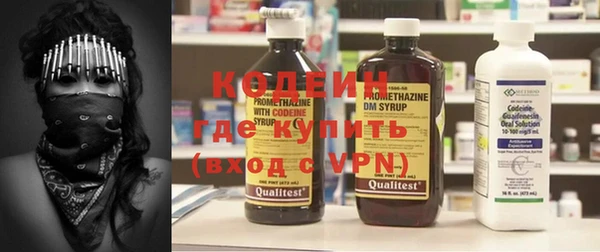 ГАЛЛЮЦИНОГЕННЫЕ ГРИБЫ Ельня