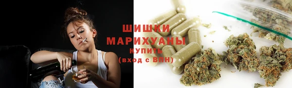 ГАЛЛЮЦИНОГЕННЫЕ ГРИБЫ Ельня