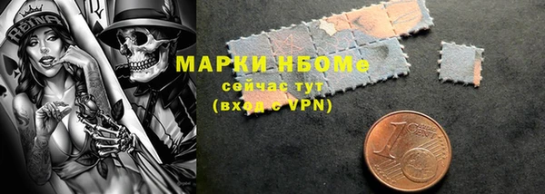 ГАЛЛЮЦИНОГЕННЫЕ ГРИБЫ Ельня
