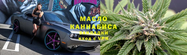 молекула духа Елабуга