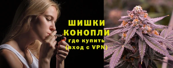 молекула духа Елабуга