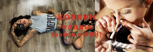 ГАЛЛЮЦИНОГЕННЫЕ ГРИБЫ Ельня
