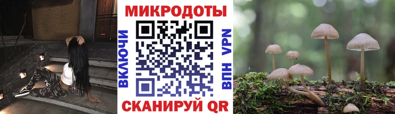 Псилоцибиновые грибы мицелий Зерноград