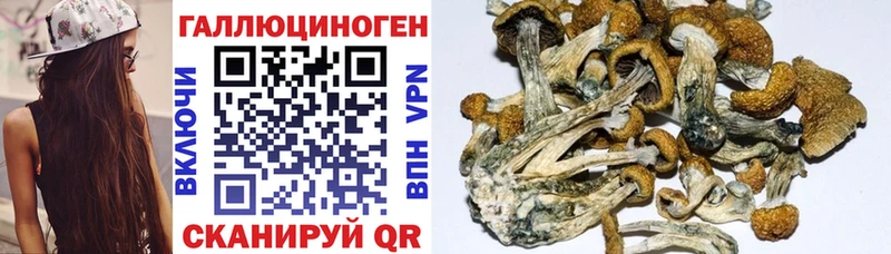 Купить закладки  Зерноград  Галлюциногенные грибы ЛСД 